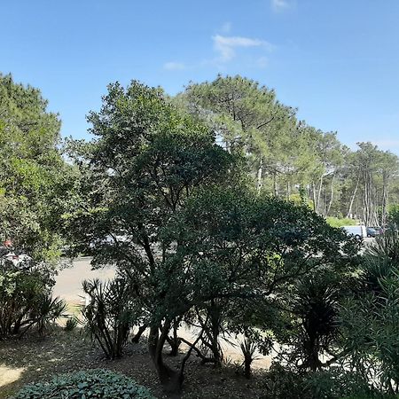 סניוס Studio Cosy Proche Ocean Et Commerces, Parfait Pour Des Vacances A Deux! - Fr-1-239-437 מראה חיצוני תמונה