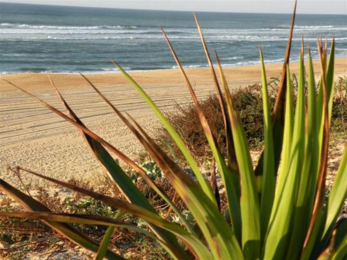 סניוס Studio Cosy Proche Ocean Et Commerces, Parfait Pour Des Vacances A Deux! - Fr-1-239-437 מראה חיצוני תמונה
