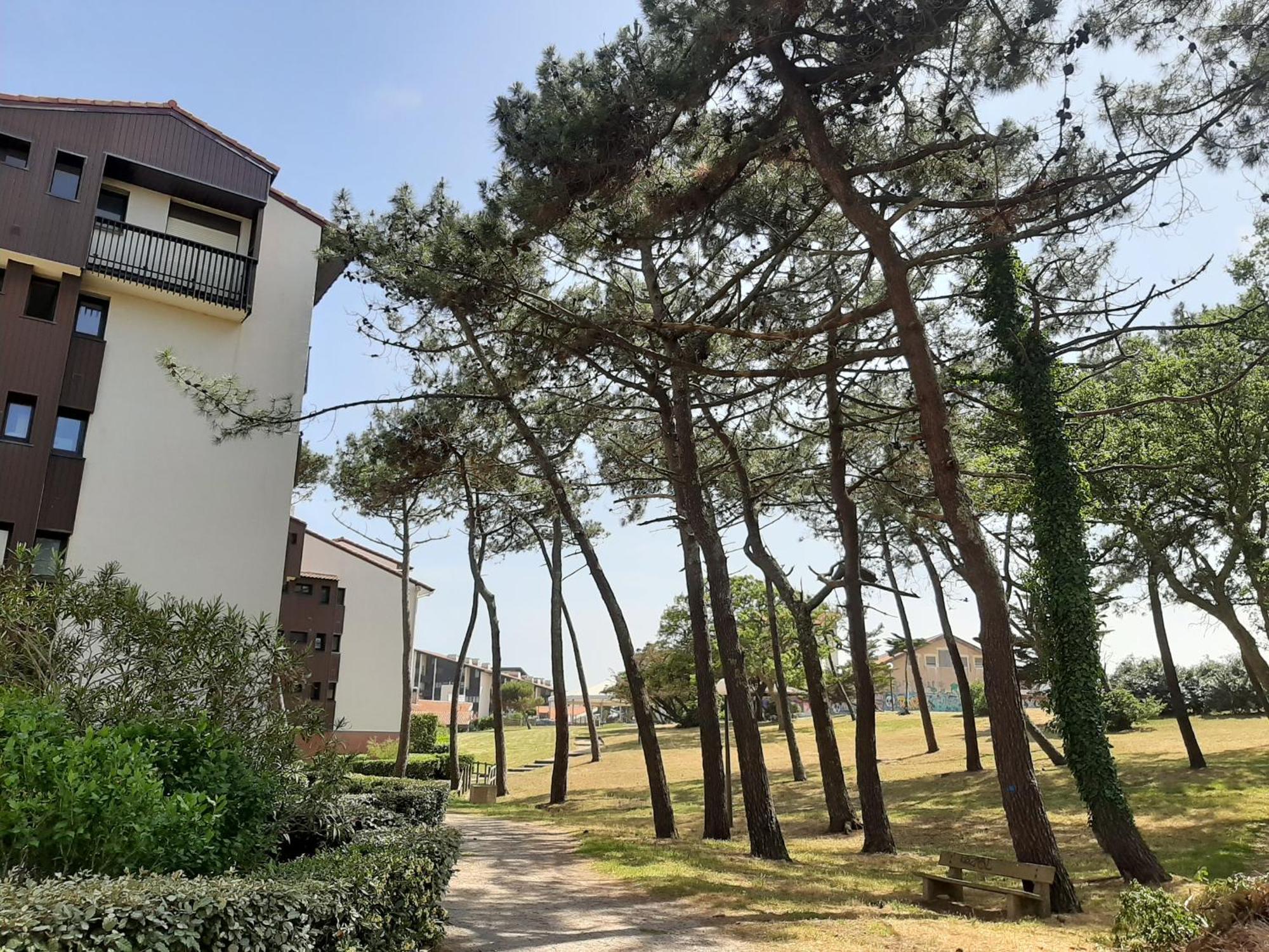 סניוס Studio Cosy Proche Ocean Et Commerces, Parfait Pour Des Vacances A Deux! - Fr-1-239-437 מראה חיצוני תמונה